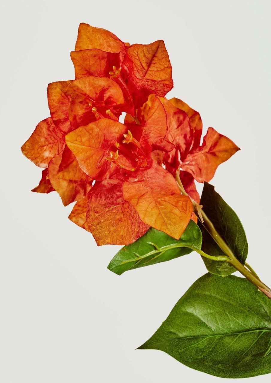 Blooming Florals Radial | Orange Faux Bougainvillea Flower Branch - 43"