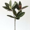 Everyday Greenery Radial | Artificial Magnolia Branch - 34.5"