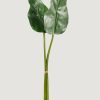 Everyday Greenery Radial | Bundle Of 2 Artificial Calla Lily Leaves - 34-34.5"