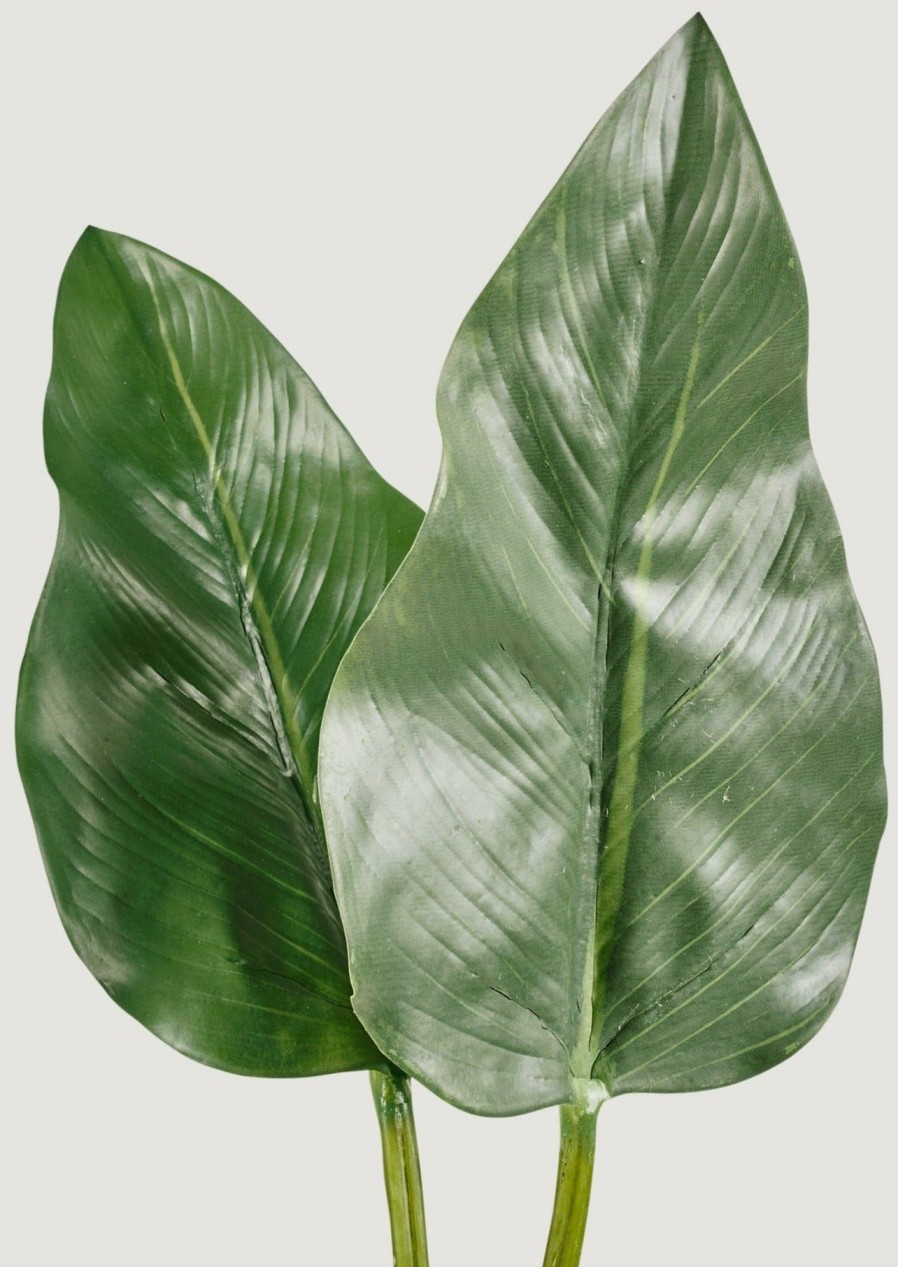 Everyday Greenery Radial | Bundle Of 2 Artificial Calla Lily Leaves - 34-34.5"