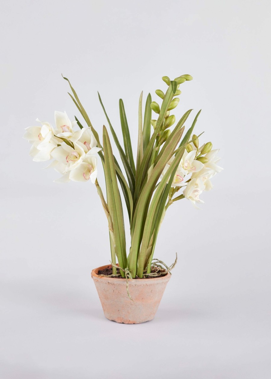 Everyday Greenery Radial | Artificial Cymbidium Orchid Potted Arrangement - 17"