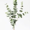 Everyday Greenery Radial | Green Grey Artificial Spiral Eucalyptus - 40"