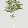 Everyday Greenery Radial | Artificial Maple Tree Potted Plant - 7'