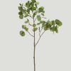 Everyday Greenery Radial | Artificial Aspen Tree Branch - 42"