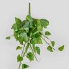 Everyday Greenery Radial | Real Touch Hanging Pothos Fake Plant - 22"