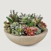 Everyday Greenery Radial | Faux Potted Plant Arrangement Of Succulents - 13"