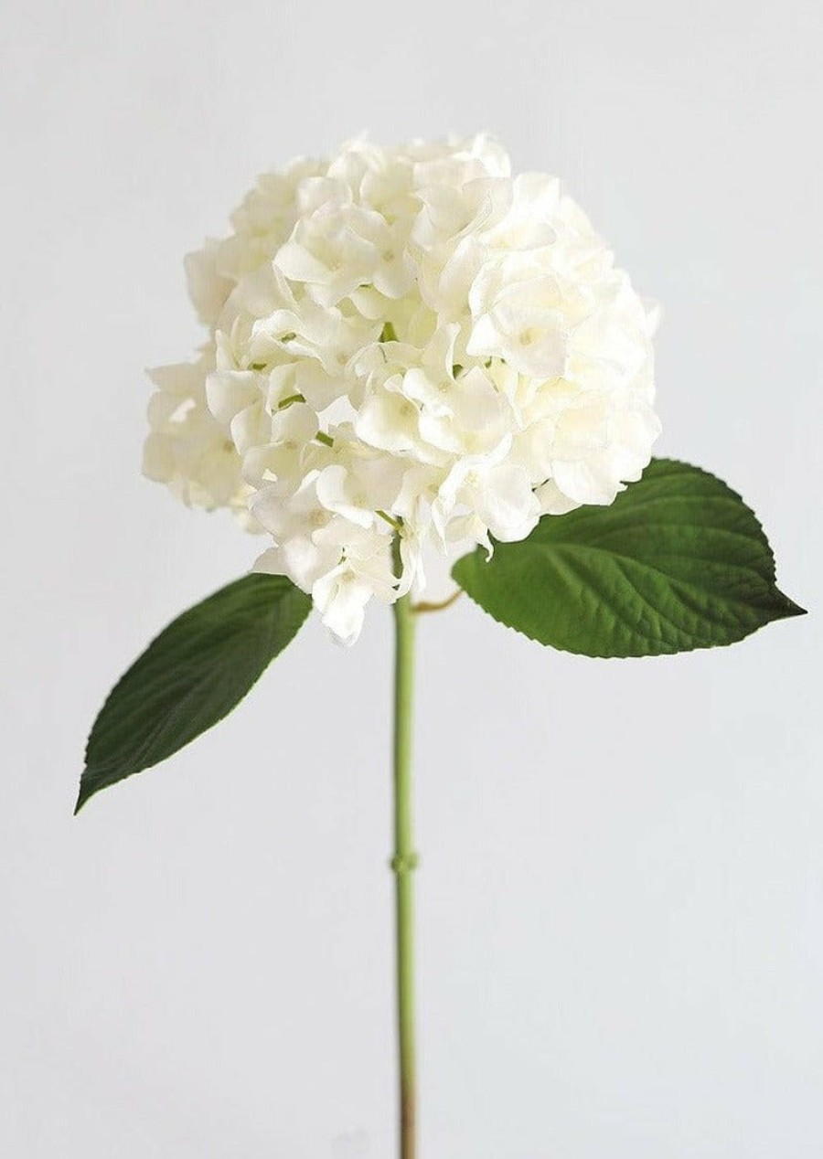 Blooming Florals Radial | Real Touch Hydrangea In Talc White - 18"