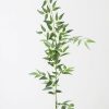 Everyday Greenery Radial | Fake Leaves Italian Ruscus Branch - 49"