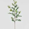 Everyday Greenery Radial | Natural Touch Variegated Artificial Button Leaf Branch - 32"