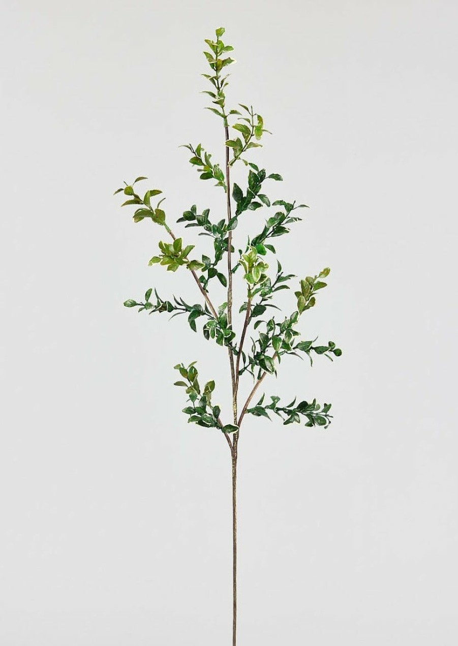 Everyday Greenery Radial | Natural Touch Variegated Artificial Button Leaf Branch - 32"