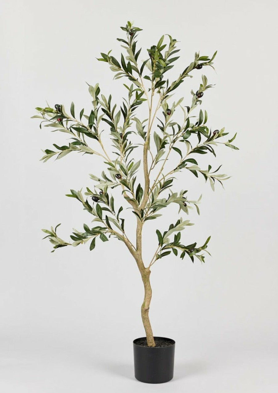 Everyday Greenery Radial | Artificial Potted Olive Tree Plant - 48"