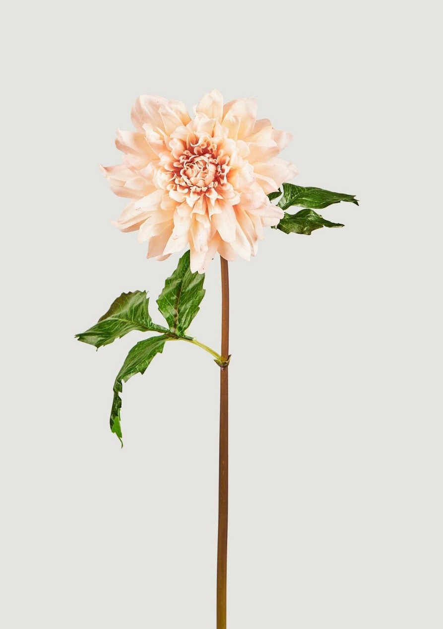 Blooming Florals Radial | Beige Blush Real Touch Dahlia Flower - 19.5"