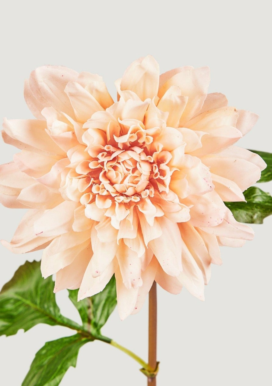 Blooming Florals Radial | Beige Blush Real Touch Dahlia Flower - 19.5"