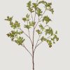 Everyday Greenery Radial | Artificial Common Hawthorn Leaf Branch - 42.5"