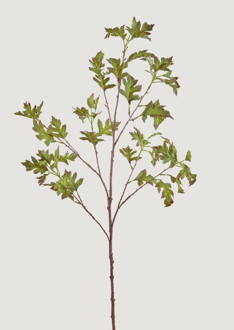 Everyday Greenery Radial | Artificial Common Hawthorn Leaf Branch - 42.5"