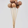 Winter Forest Radial | Bundle Of 10 Natural Bellani Ball Pod Stems - 19.5-21.5"