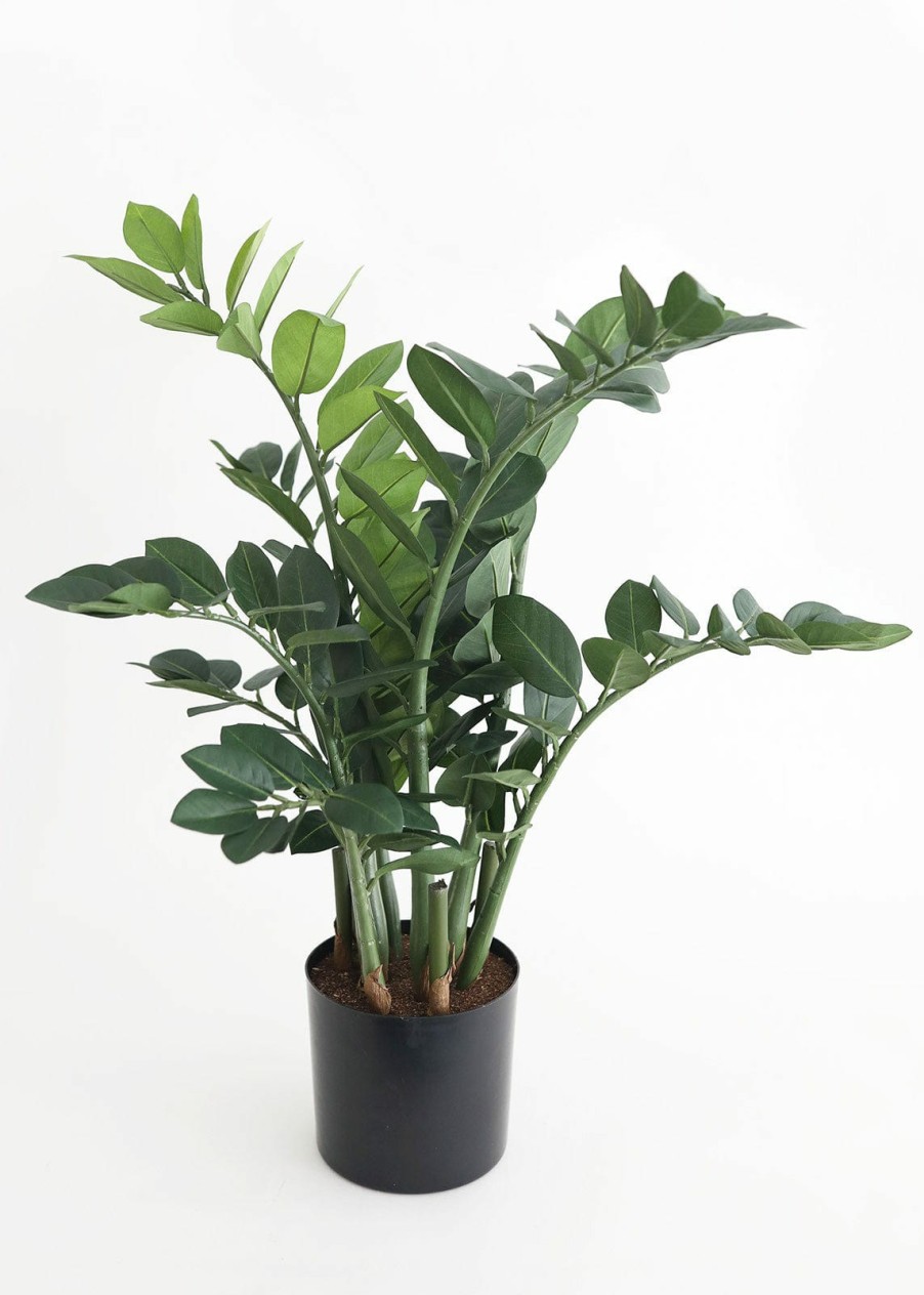 Everyday Greenery Radial | Artificial Zz Tropical Plant In Pot - 30"