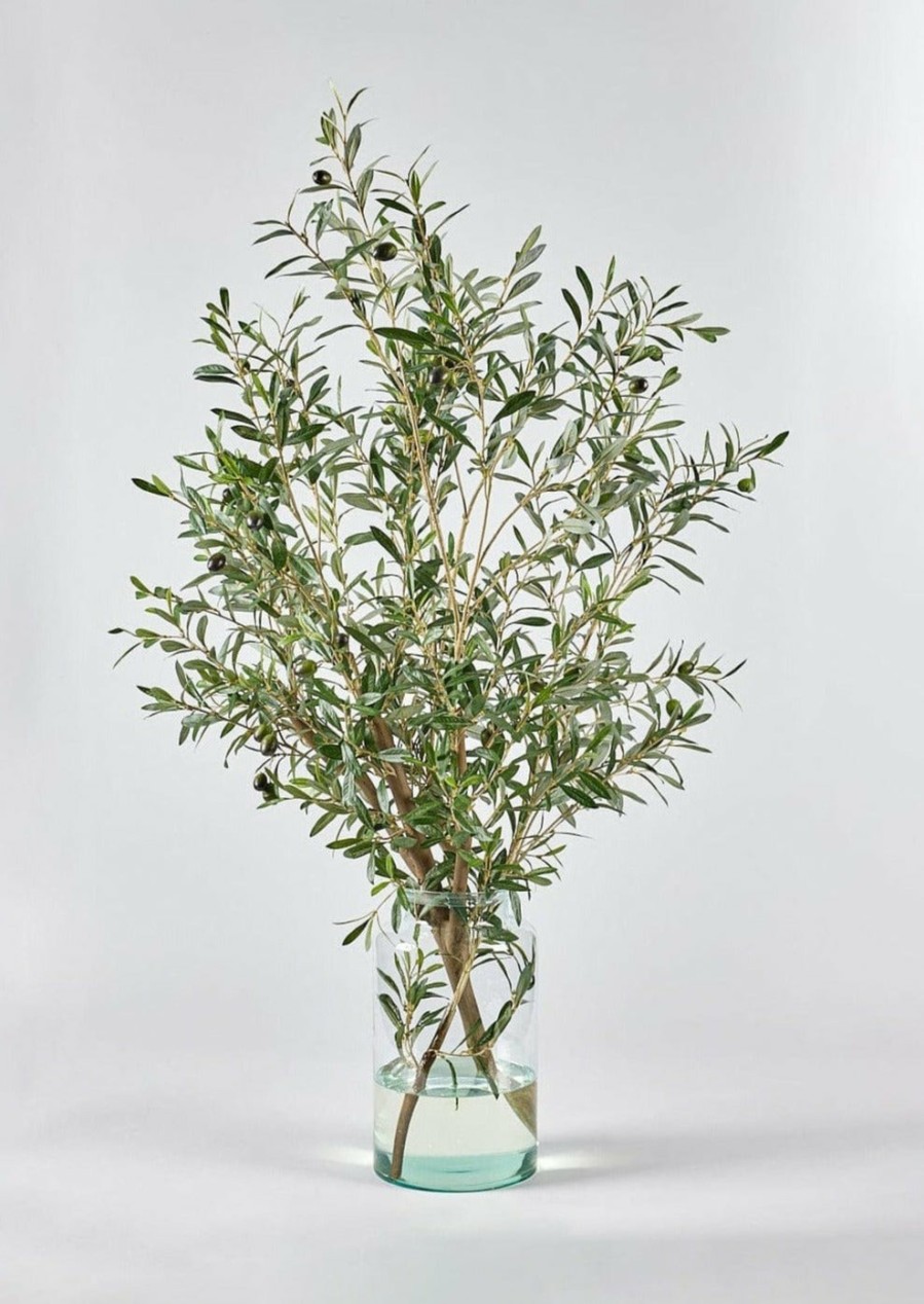 Everyday Greenery Radial | Artificial Olive Branch Arrangement In Glass Vase - 49"