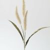 Everyday Greenery Radial | Fake Foxtail Fall Grass In Beige - 36"