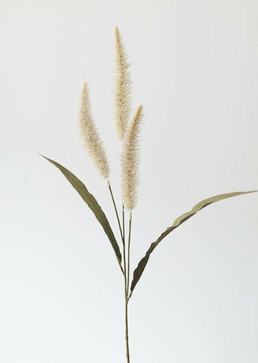 Everyday Greenery Radial | Fake Foxtail Fall Grass In Beige - 36"