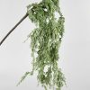 Everyday Greenery Radial | Natural Touch Cedar Hanging Branch - 43"