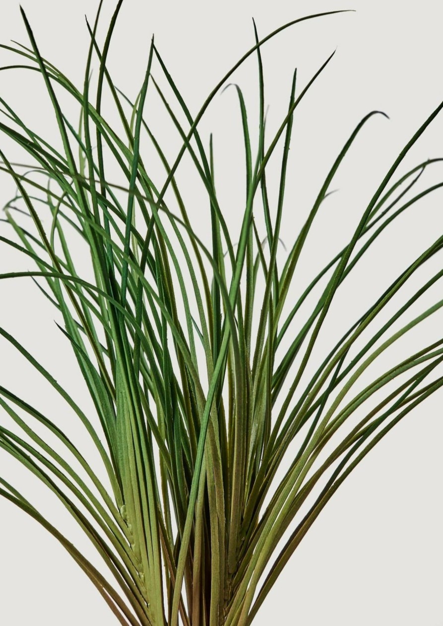 Everyday Greenery Radial | Artificial Onion Grass Plant - 21"