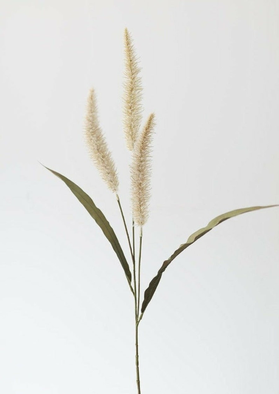 Everyday Greenery Radial | Fake Foxtail Fall Grass In Beige - 36"