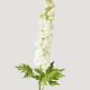 Blooming Florals Radial | Real Touch White Artificial Delphinium Flower - 47"