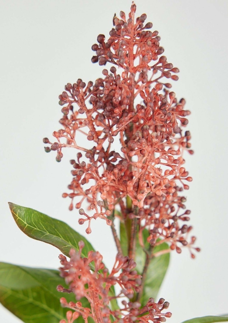 Fall Foliage Radial | Rust Burgundy Faux Skimmia Flower Stem - 23"