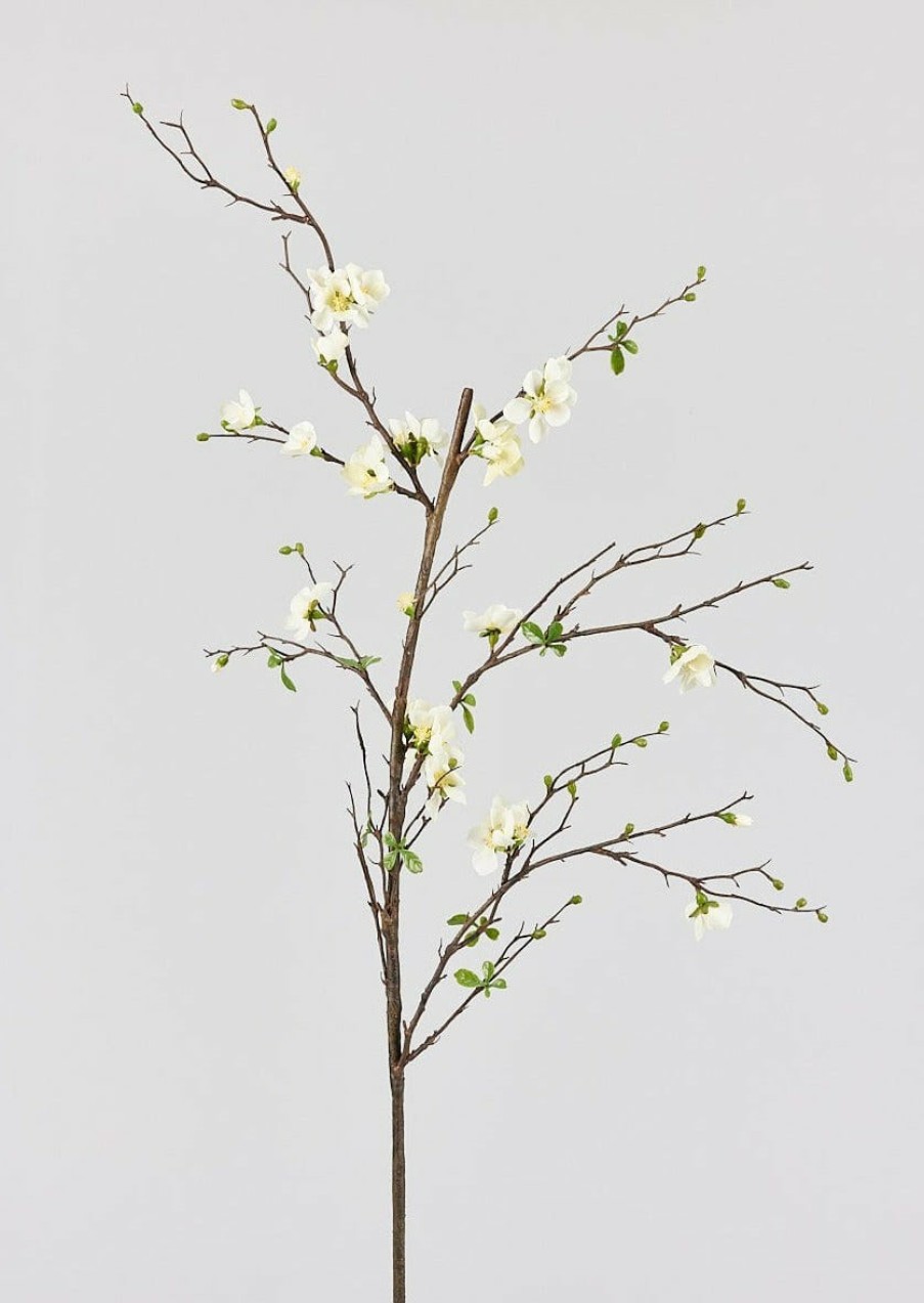 Blooming Florals Radial | Cream Artificial Blossom Branch - 57"