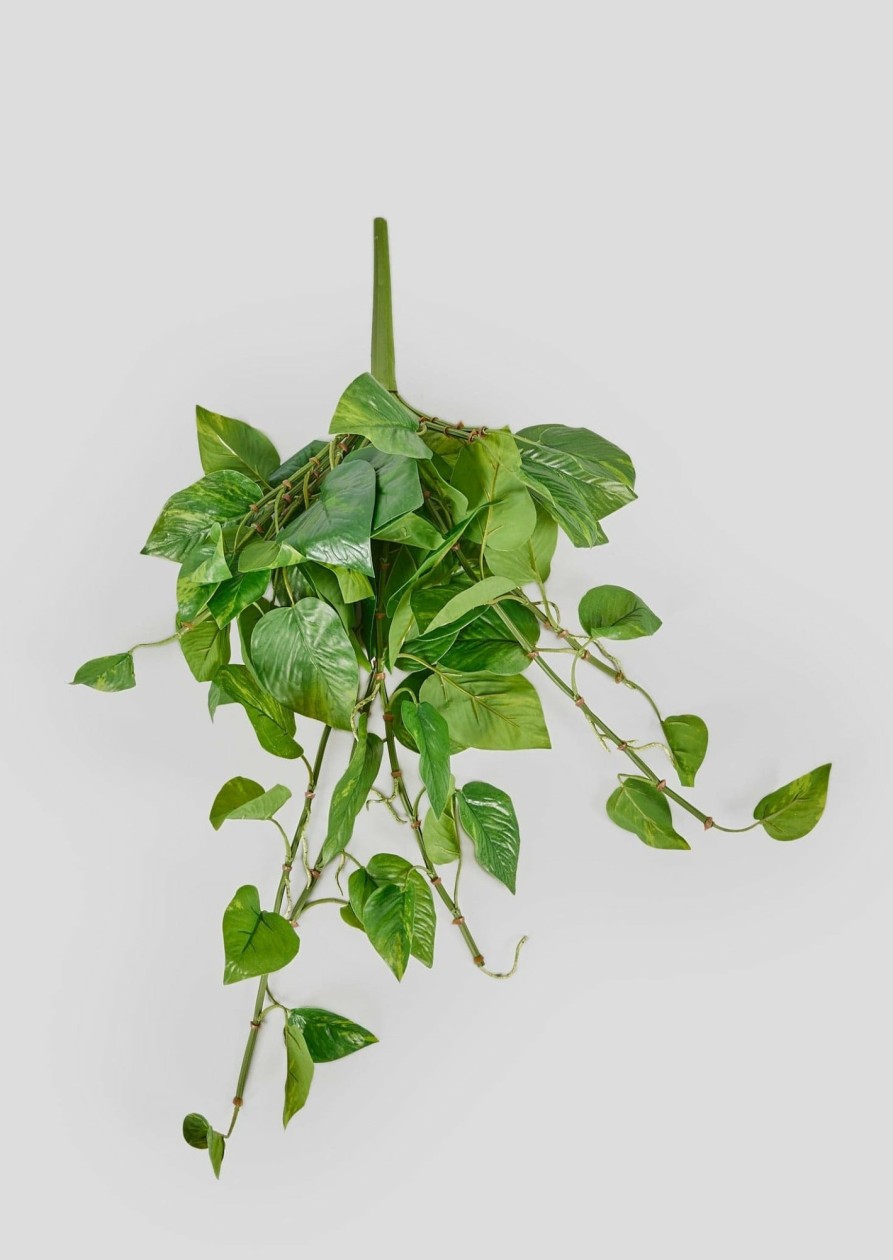 Everyday Greenery Radial | Real Touch Hanging Pothos Fake Plant - 22"