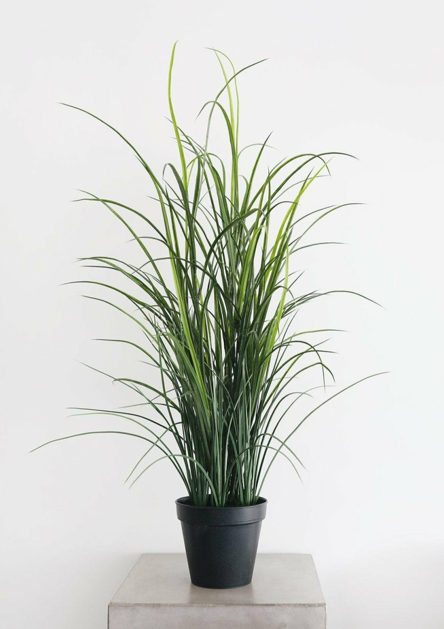 Everyday Greenery Radial | Artificial Indoor/Covered Outdoor Potted Grass Plant - 38"