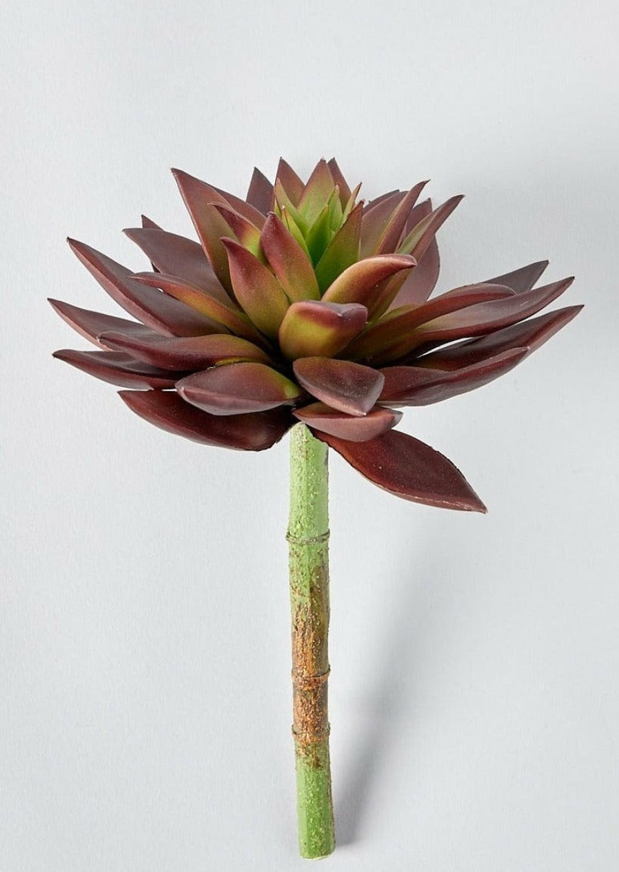 Everyday Greenery Radial | Burgundy Artificial Star Succulent Pick - 10"