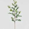 Everyday Greenery Radial | Natural Touch Variegated Artificial Button Leaf Branch - 32"