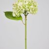 Blooming Florals Radial | French Country Green Real Touch Hydrangea - 18"