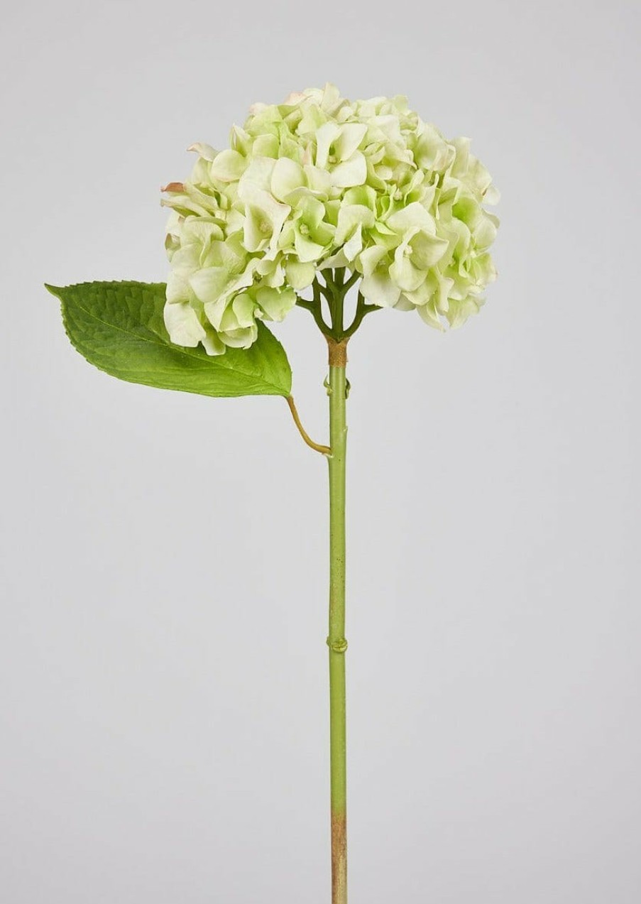 Blooming Florals Radial | French Country Green Real Touch Hydrangea - 18"